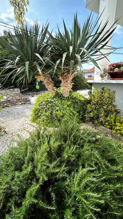 a garden with bushes and plants in front of a building at Apartmani Grgić in Trogir