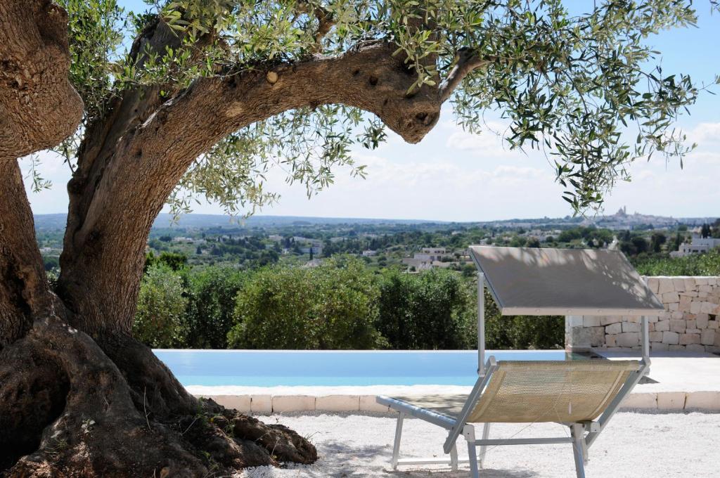a chair sitting under a tree next to a pool at Trulli Loco in Locorotondo