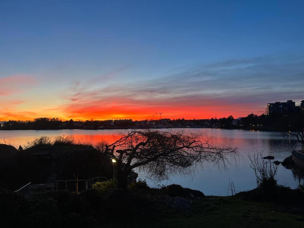 um pôr-do-sol sobre um lago com uma árvore em primeiro plano em beautiful two bedroom water front em Victoria