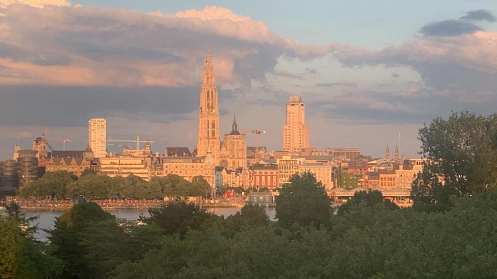 eine Skyline einer Stadt mit einem Fluss und Gebäuden in der Unterkunft Apartment Linkerover- City Centre & Cathedral view in Antwerpen