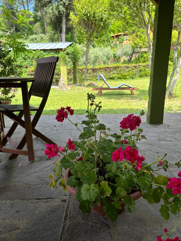A garden outside Casa Verde Country House