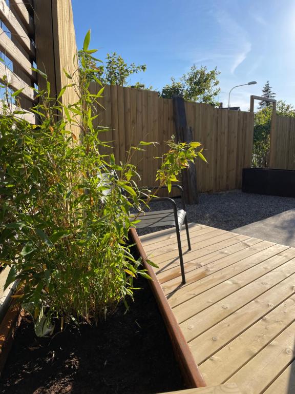 Chambre hotell - Resim 18