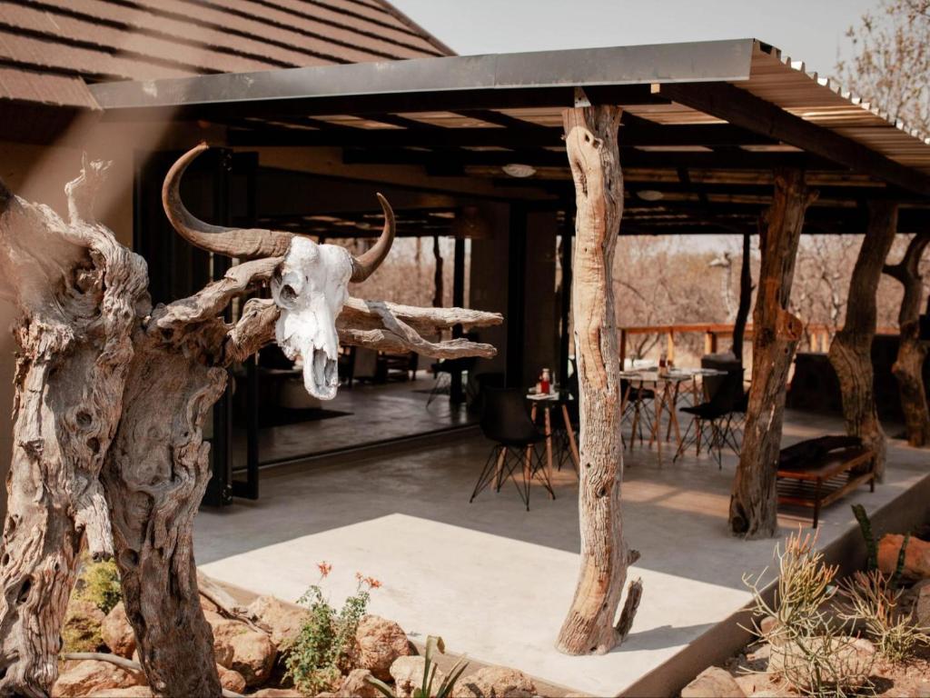 Fotografie z fotogalerie ubytování Maroelani Lodge- Greater Kruger Private Reserve v destinaci Hoedspruit