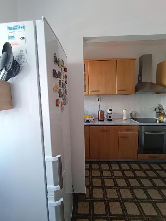 Kuchyňa alebo kuchynka v ubytovaní Apartmani Živković