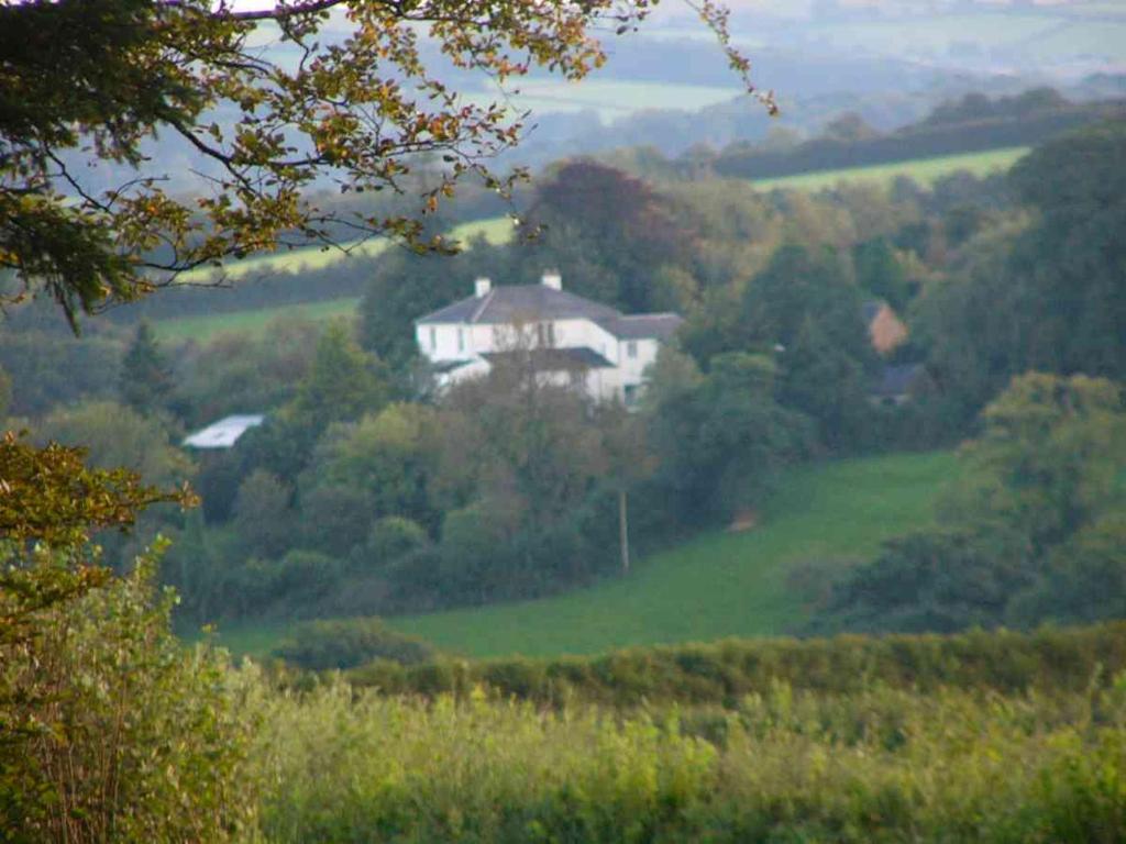 uma casa numa colina num campo verde em Headson Farmhouse em Bratton Clovelly