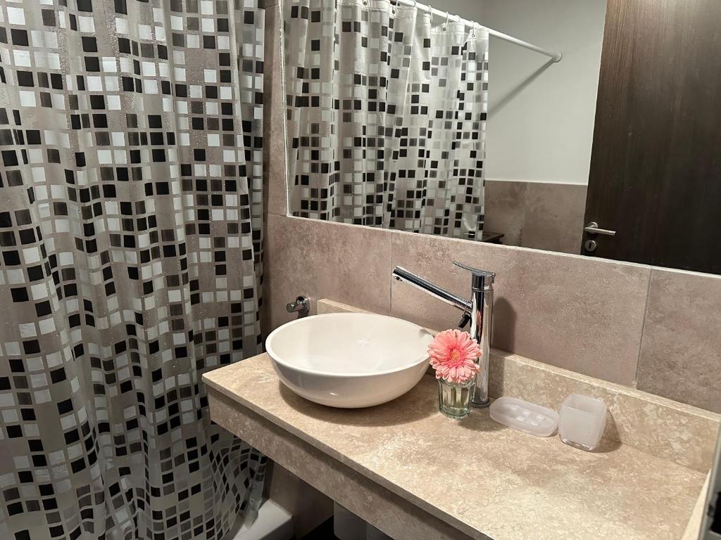 a bathroom with a sink and a mirror at Mono ambiente Campus Vista Pilar in La Lonja