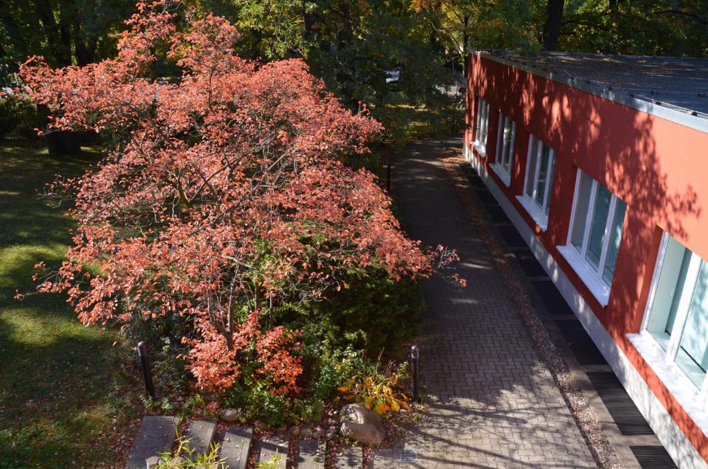 Gästehaus Pauline - Resim 14