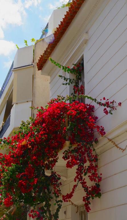 Absolute Athens Acropolis View - 19