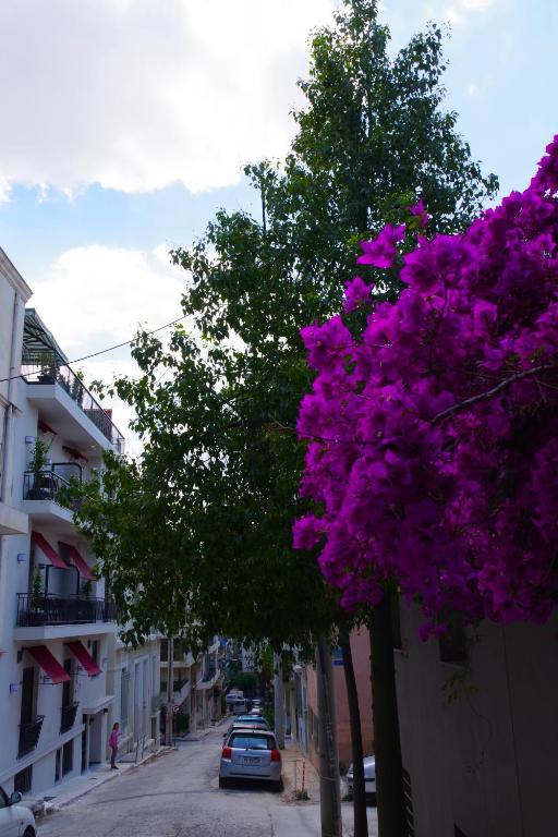 Absolute Athens Acropolis View - 17