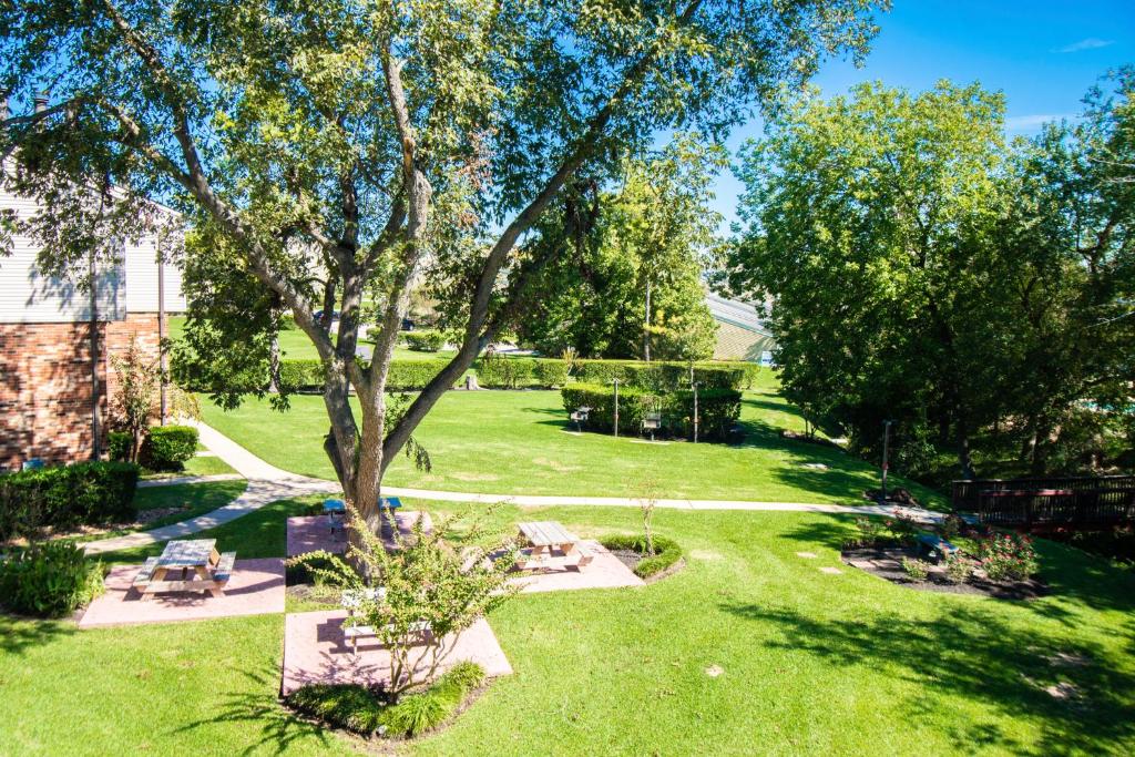 a park with a tree and benches in the grass at Sweetwater at Lake Conroe, a VRI resort in Montgomery