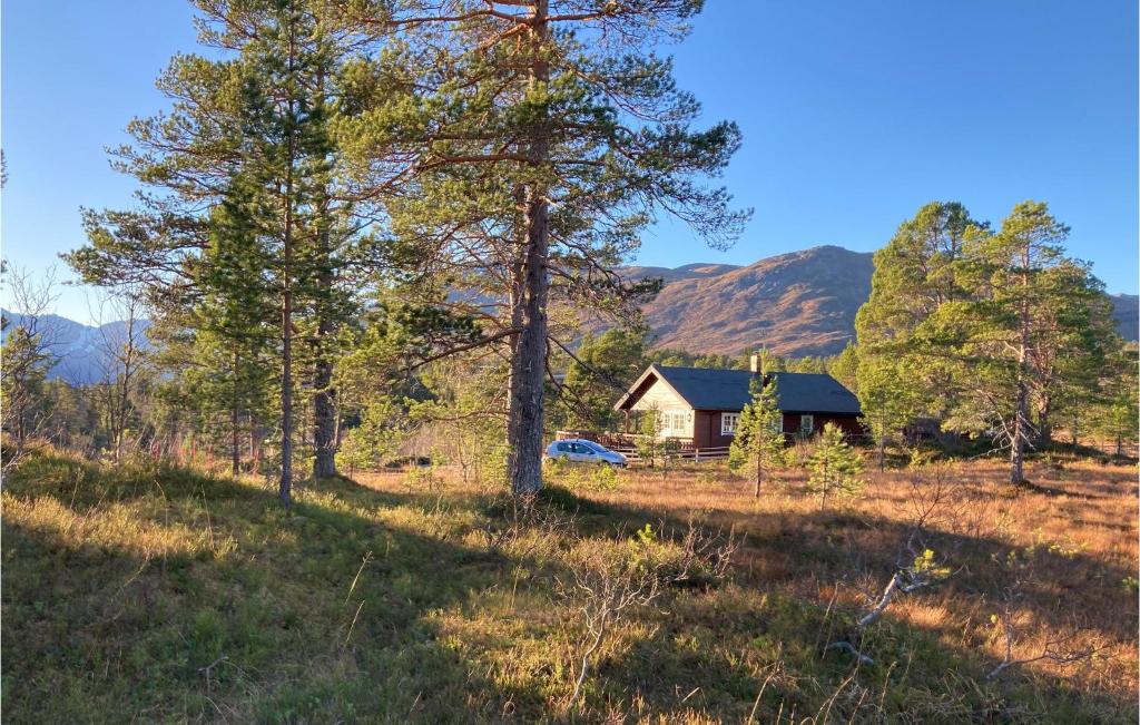 une petite maison dans un champ arboré dans l'établissement 3 Bedroom Lovely Home In Straumgjerde, à Brunstad