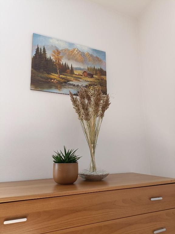 Fotografie z fotogalerie ubytování Appartamenti Viola Walter v destinaci Cavedago