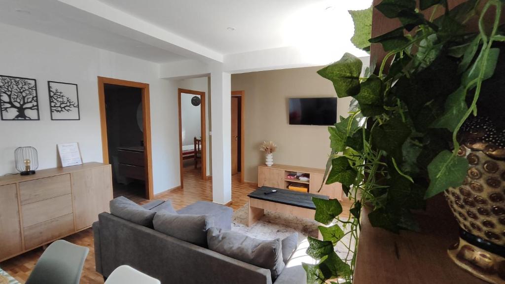 uma sala de estar com um sofá e uma televisão em Casa rural completa y con garaje em Vigo
