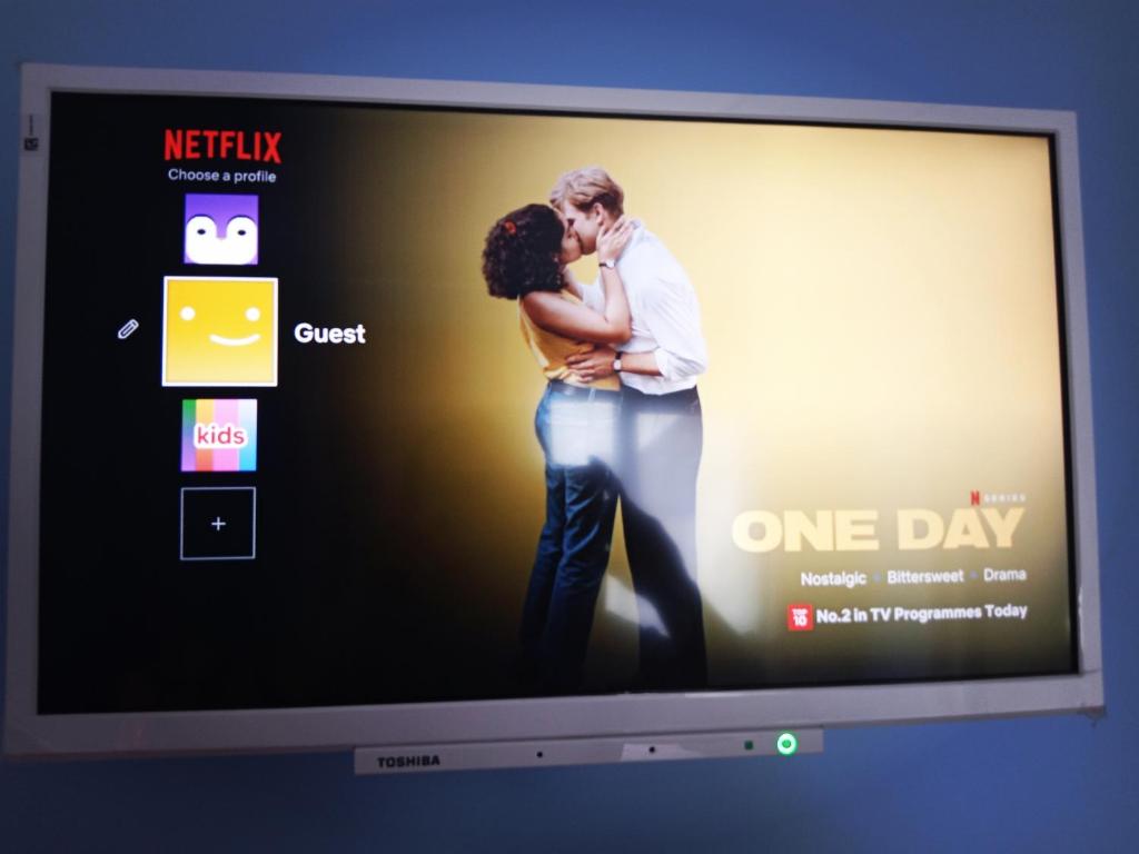 TV a/nebo společenská místnost v ubytování Swan Studio Haven