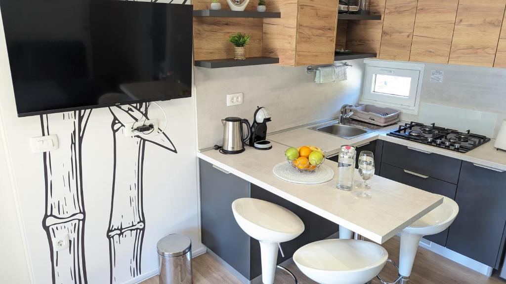 Kuchyň nebo kuchyňský kout v ubytování Mobile Homes Jaki