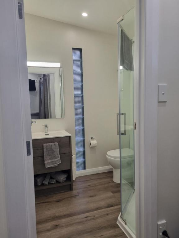 a bathroom with a toilet and a sink and a mirror at Number 32 in Taumarunui