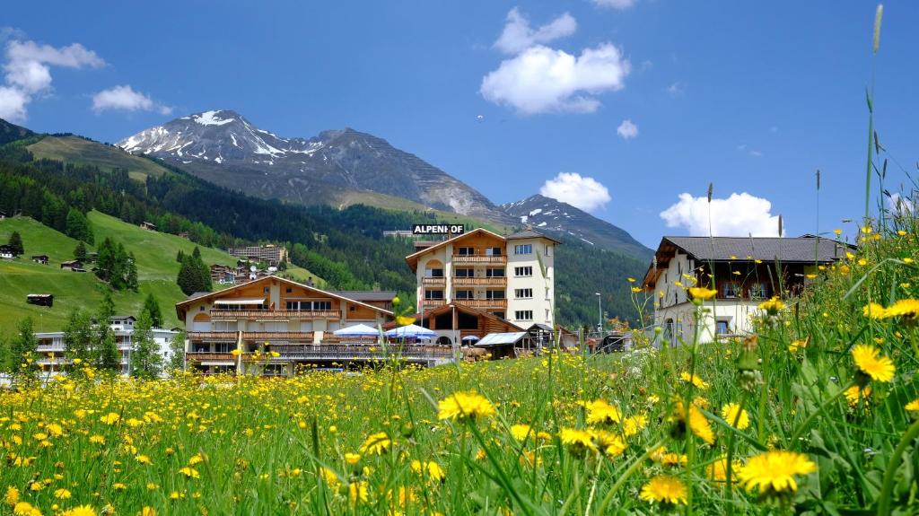 un champ de fleurs jaunes devant une montagne dans l'établissement Alpenhof, à Davos