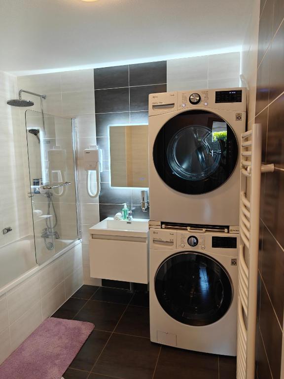 Charming apartment with Garden, Free Parking near Basel, Airport, Ger'many, France, – photo 18