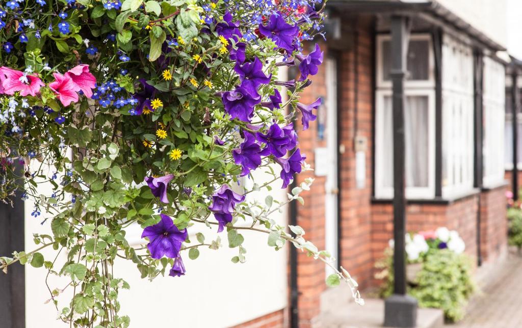 Un mazzo di fiori viola appesi a un palazzo di Kidwells House a Hereford