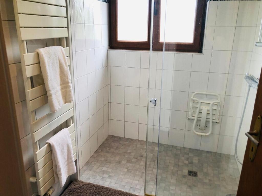 a shower with a glass door in a bathroom at Gite du Ried in Bischwiller