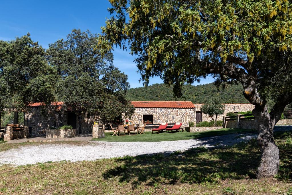 une maison en pierre avec un arbre en face de celle-ci dans l'établissement Casa Rural " La Quijada del Lobo ", à Llerena