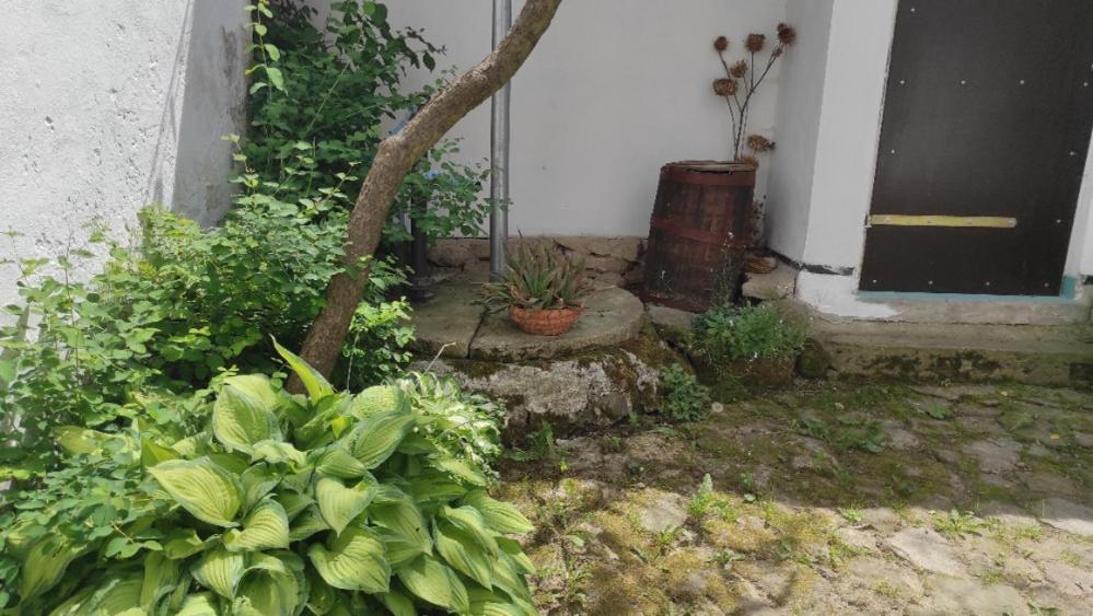 Zahrada ubytování Ubytování Pod jilmem