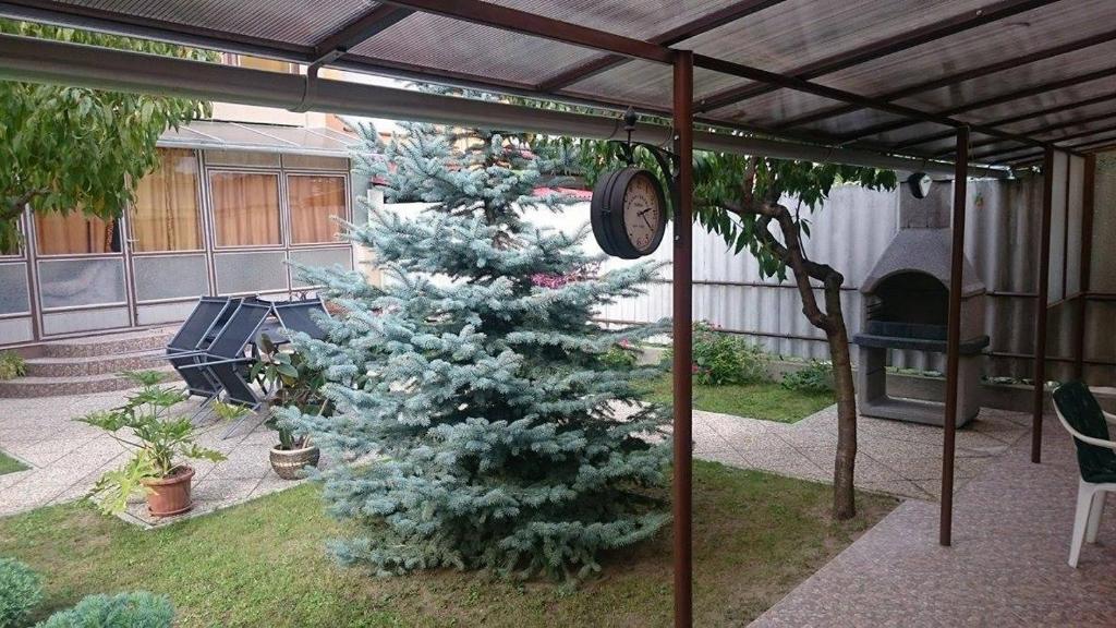 Zahrada ubytování Apartman Edit
