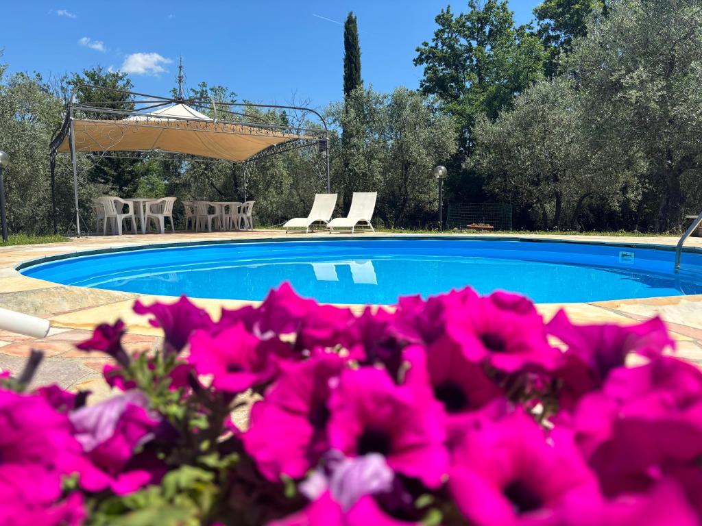 - un bouquet de fleurs roses devant la piscine dans l'établissement Agriturismo Fuccioli II, à Carmignano