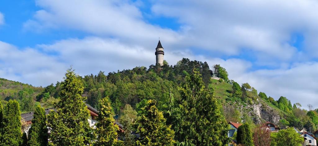 Příroda nedaleko apartmánu
