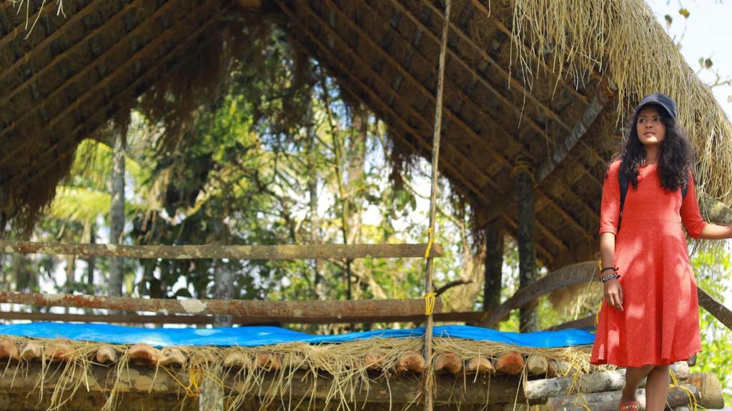 Hồ bơi trong/gần Paddyfield Inn