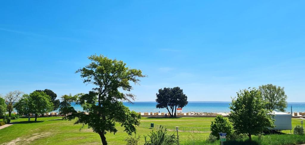 Příroda nedaleko apartmánu