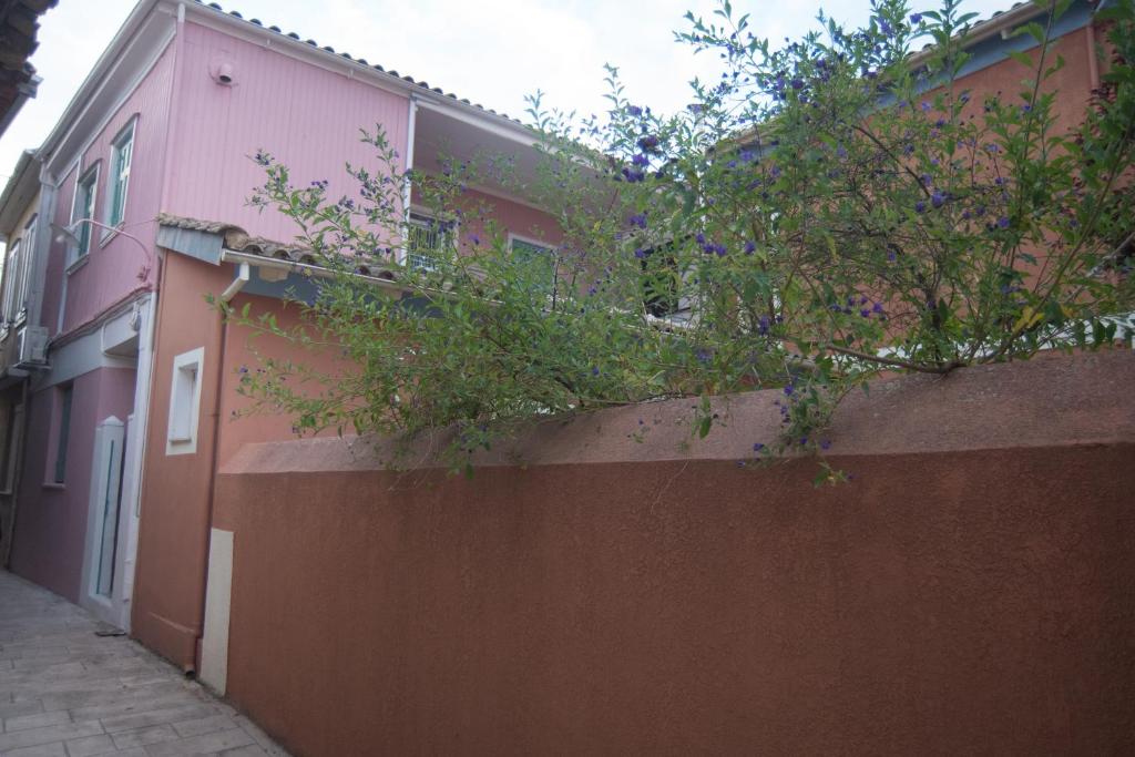 een gebouw met een muur met een plant erop bij La Casa Rosa in Lefkada