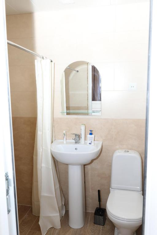 un bagno con lavandino, water e specchio di VST KHANOYAN'S HOTEL a Ninotsminda