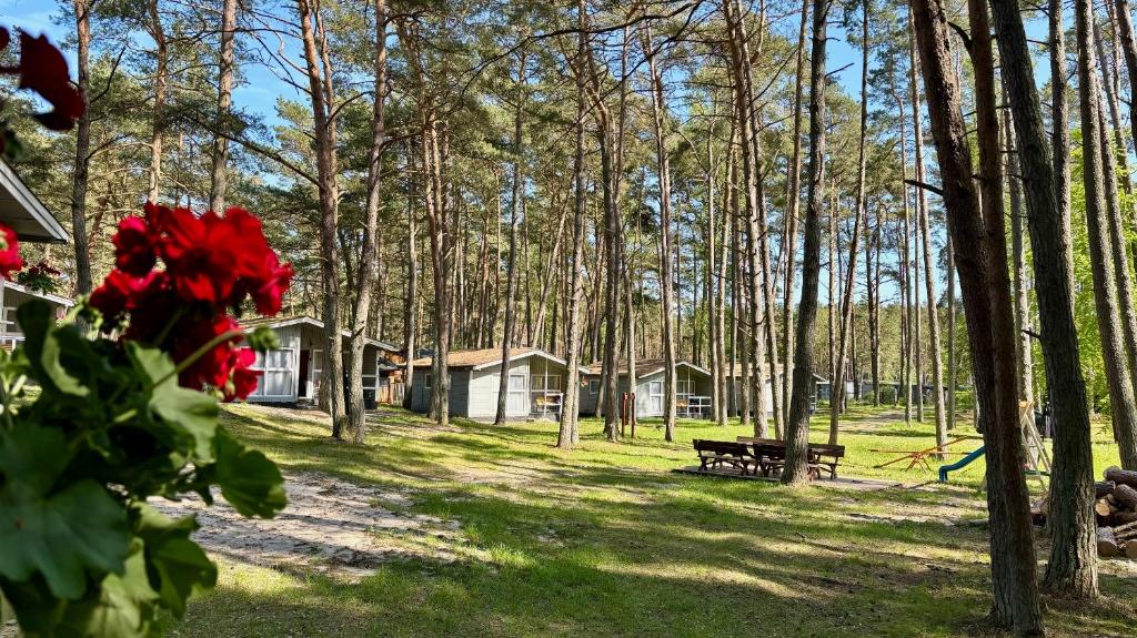Zahrada ubytování Leśna Przystań