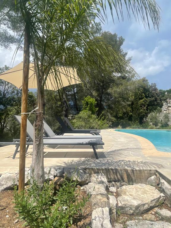 una playa con 2 tumbonas y una palmera en La villa des Carriers- maison avec piscine proche mer, en Roquefort-les-Pins
