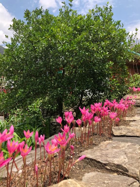 un ramo de flores rosas delante de un árbol en Bless Break Guesthouse, en Narcheng