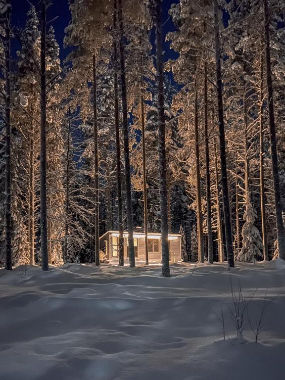 Kotatuli Forest Lodge v zimě