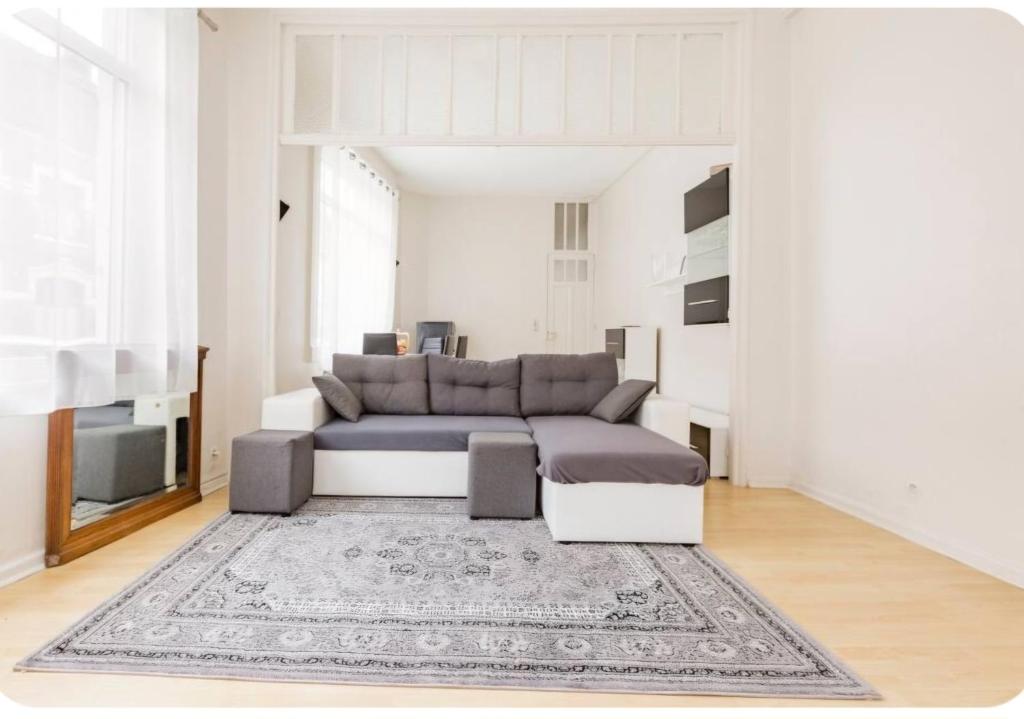 - un salon avec un canapé et un tapis dans l'établissement Lille près du CHU Lille, à Lille
