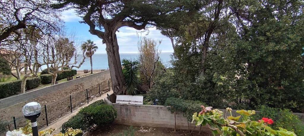 un parc avec un banc, un arbre et l'océan dans l'établissement Location saisonnière logement les pieds dans l’eau, à La Seyne-sur-Mer