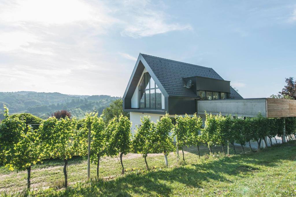 a house on a vineyard with a row of vines at Weingut Holler Chalet in Spielfeld