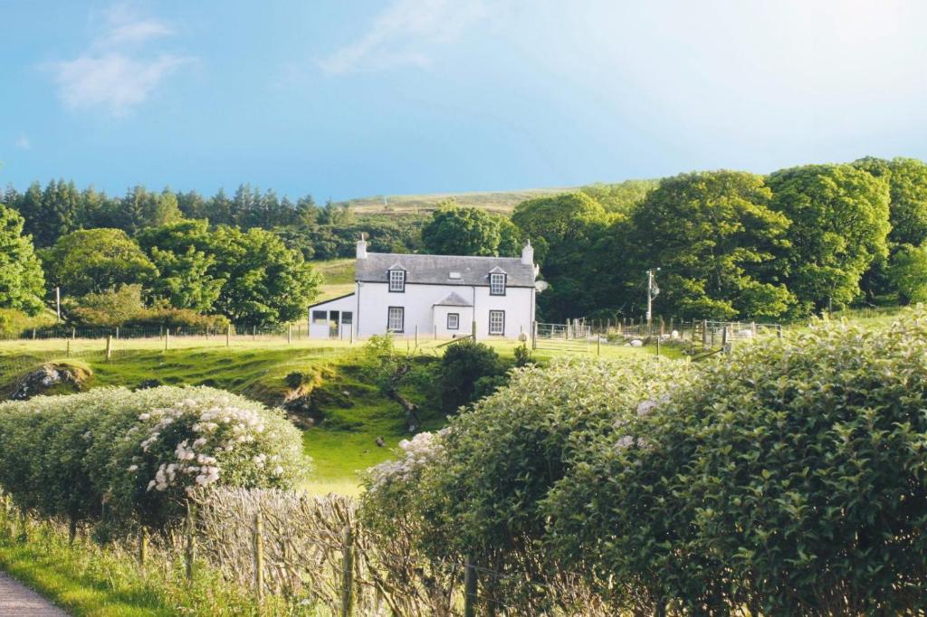 biały dom na wzgórzu z drzewami i krzakami w obiekcie Rural Farmhouse on Kintyre, West Coast hidden gem w mieście Kildalloig