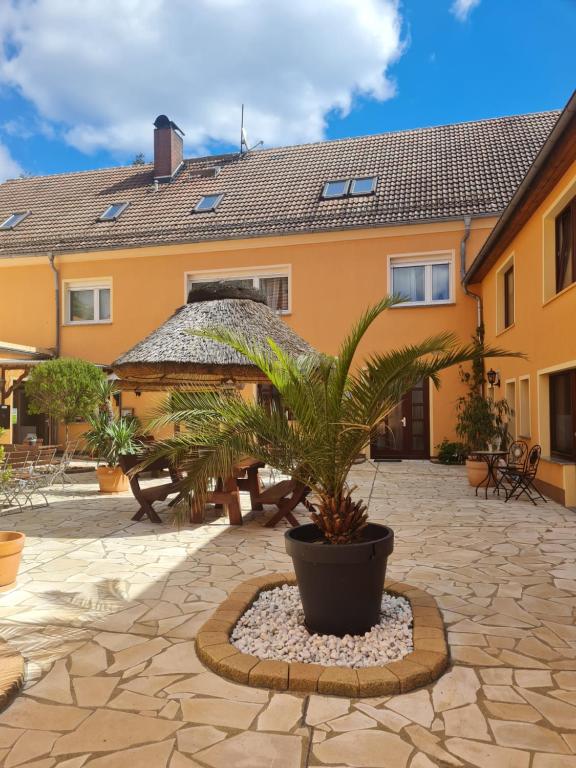 a house with a potted plant in a courtyard at Pension Cubana in Rothenburg