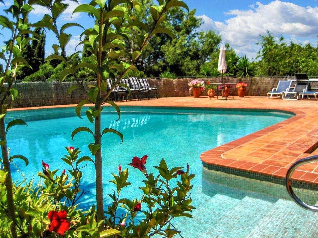 una piscina con un árbol delante en 3 bedrooms apartement with sea view shared pool and furnished garden at San Pedro de Ribas 5 km away from the beach, en Sant Pere de Ribes
