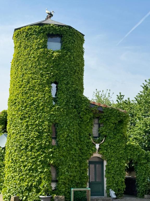 an ivy covered building with a green door at Turm auf altem Bauernhof in Götterswickerhamm