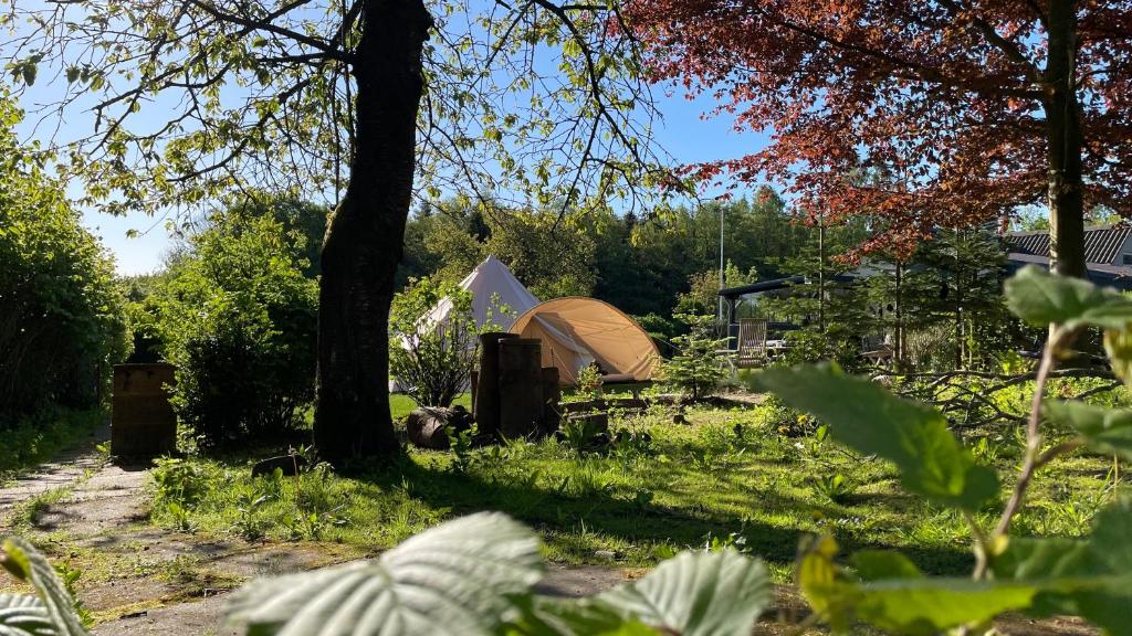 une tente dans un champ planté d'arbres et d'herbe dans l'établissement Cozy Garden Glamping, à Svendborg