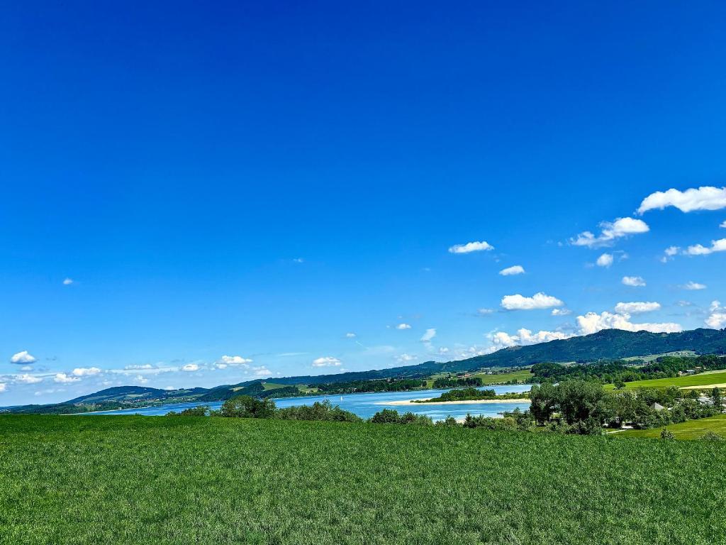 Příroda nedaleko apartmánu