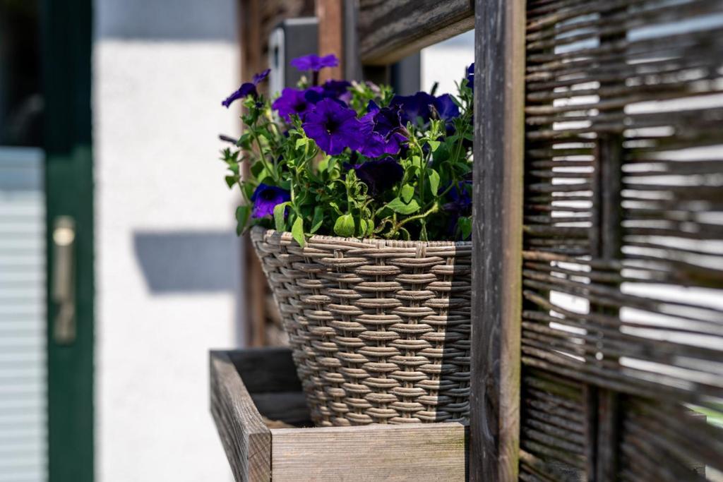 a basket filled with purple flowers sitting on a shelf at Ferienwohnung 2 Am Rodelberg in Priborn