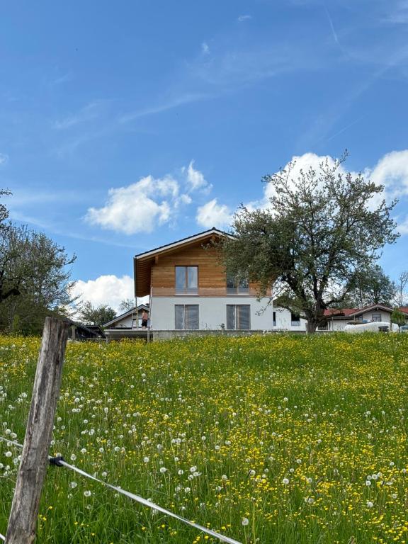 ein Haus auf einem Hügel mit einem Blumenfeld in der Unterkunft Ferienwohnung Haslach in Wertach