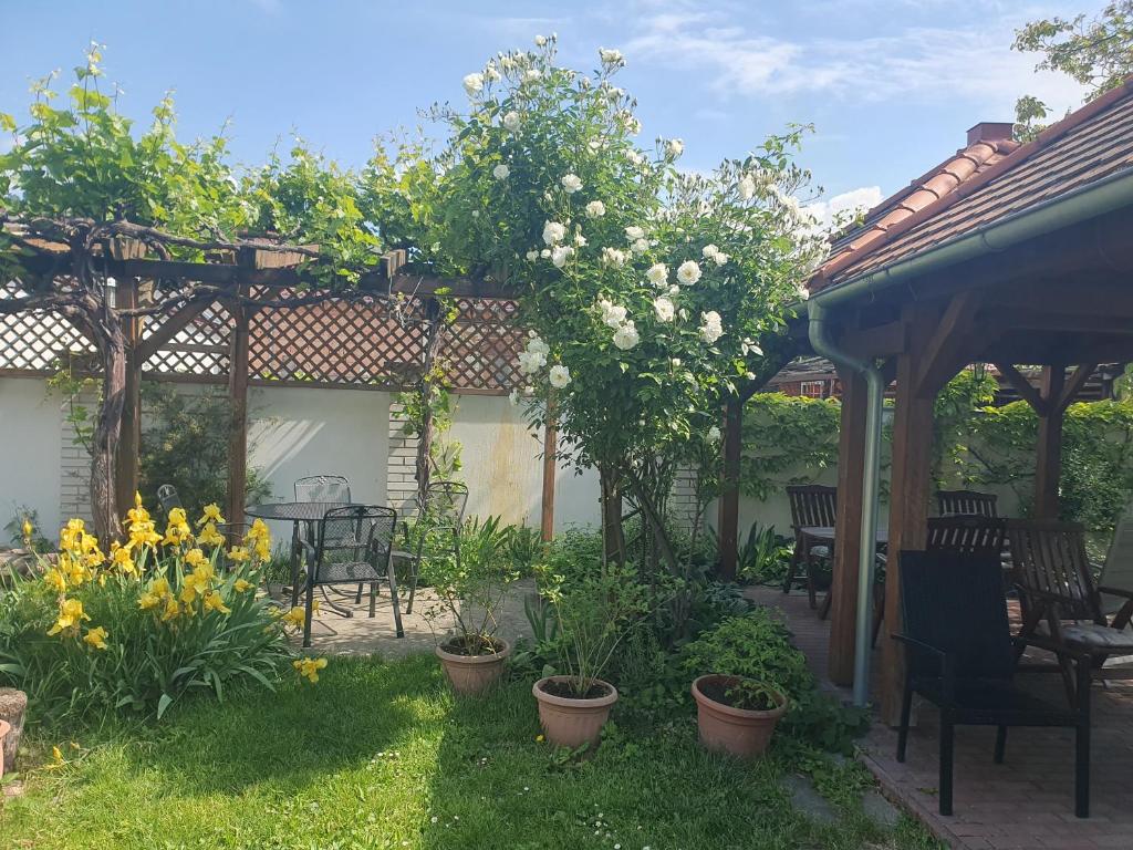 Zahrada ubytování Pension Zelený strom