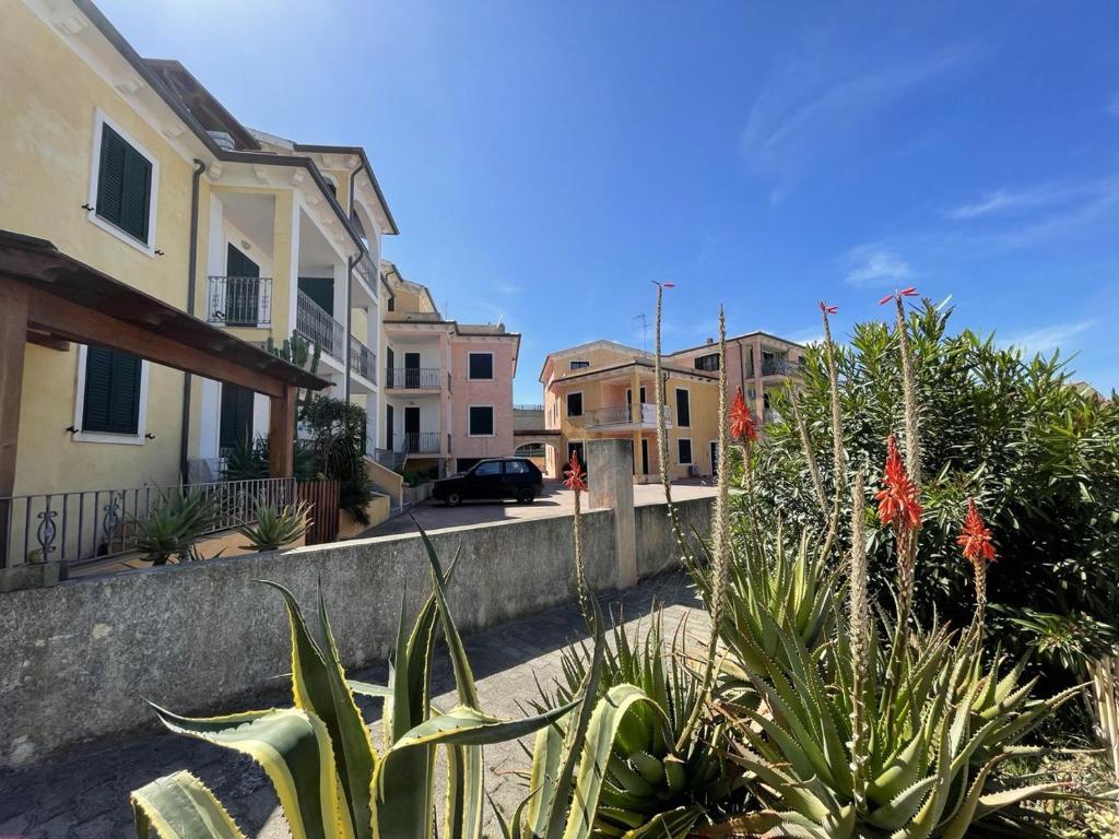 una calle con un montón de plantas y edificios en Affittimoderni Valledoria - La Casa di Lavinia, en Valledoria
